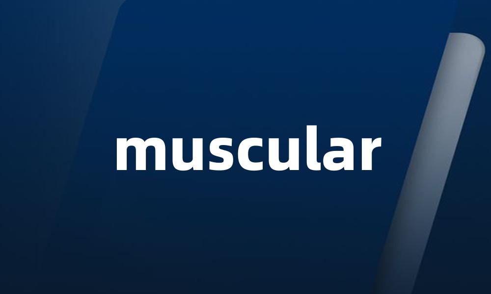 muscular