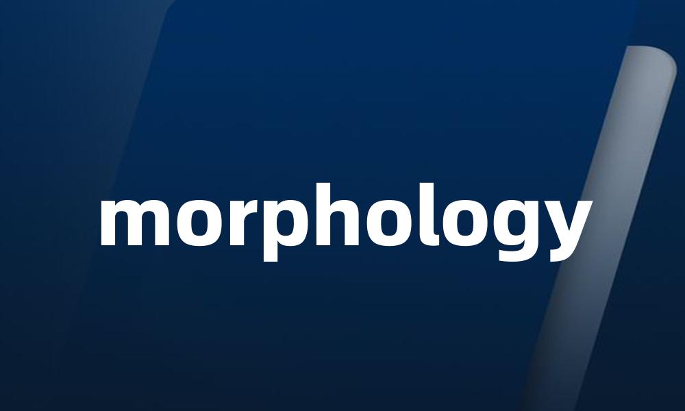 morphology