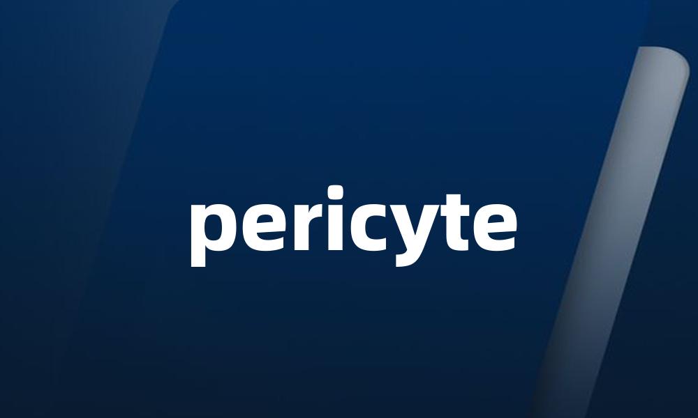 pericyte