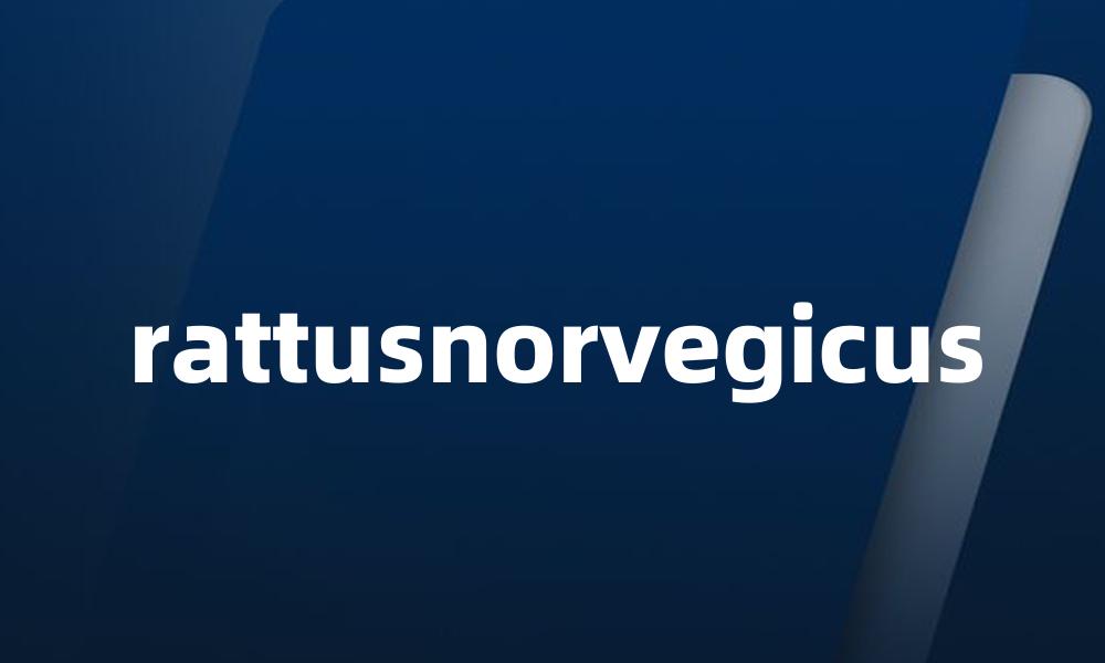 rattusnorvegicus