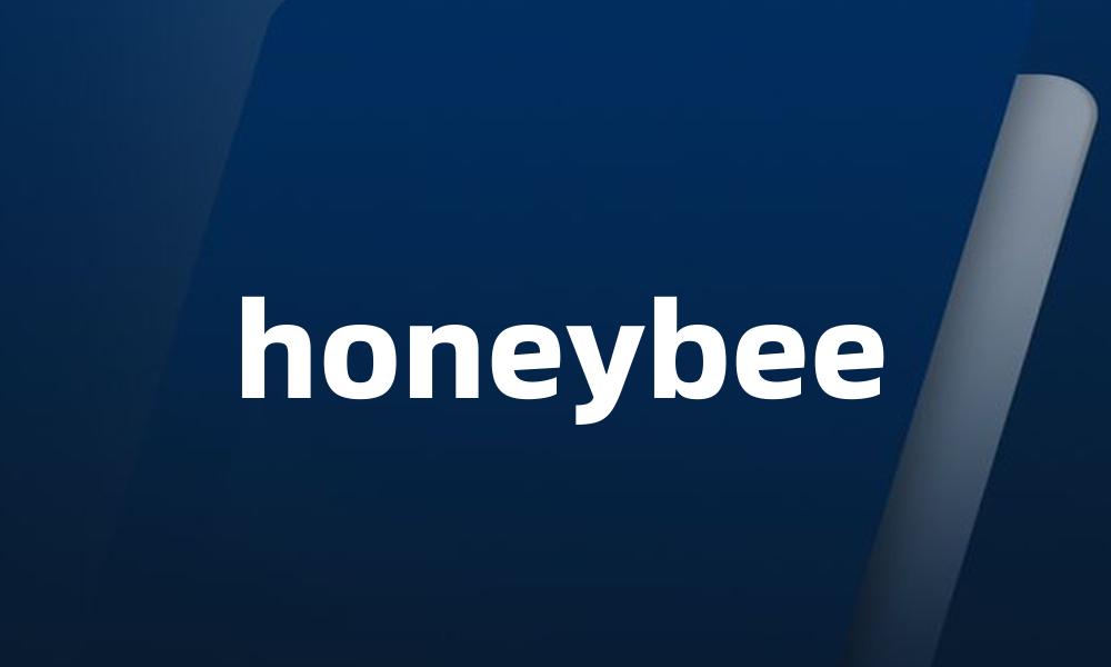 honeybee