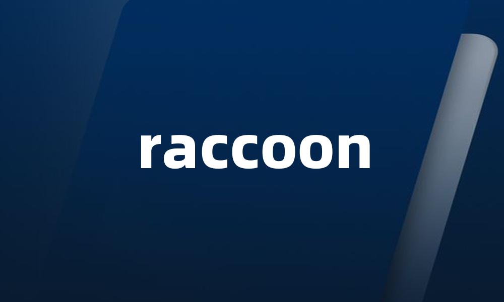 raccoon