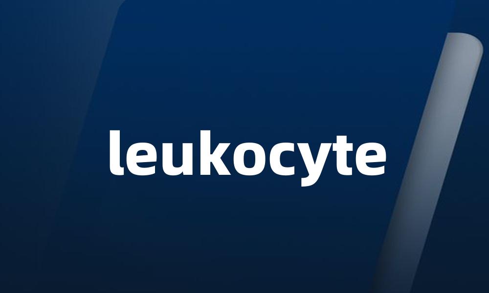 leukocyte