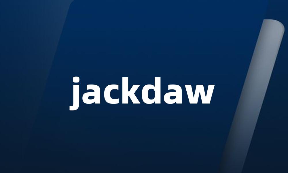 jackdaw