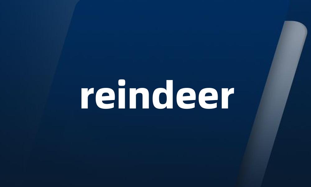 reindeer