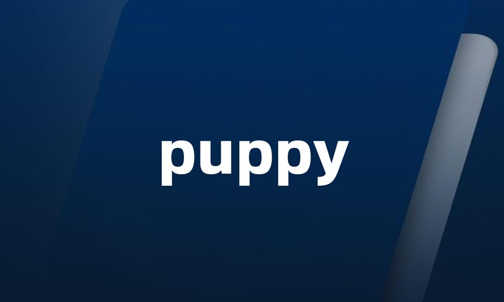 puppy
