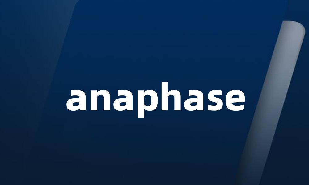 anaphase
