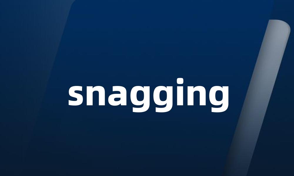 snagging
