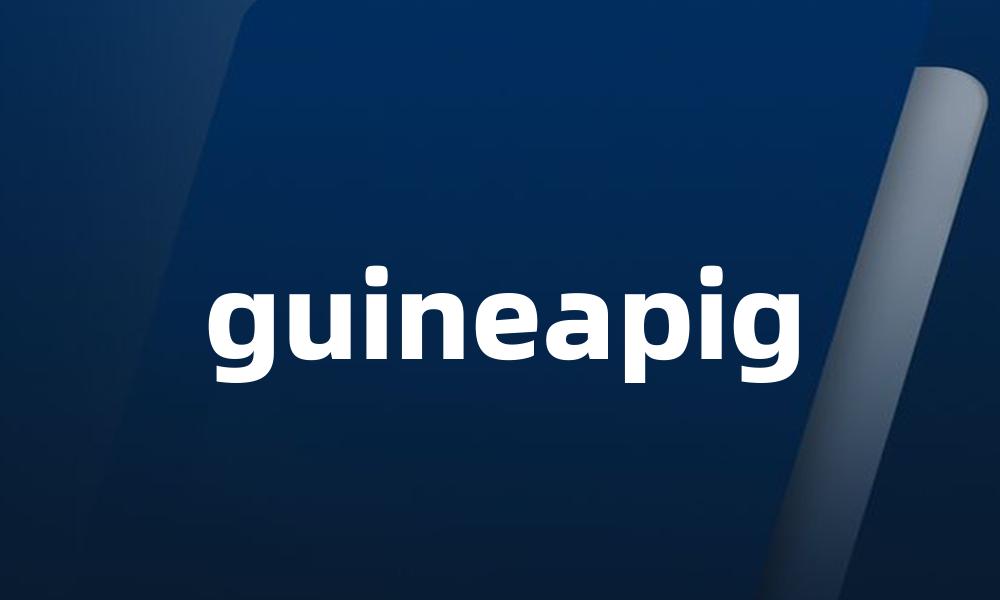 guineapig