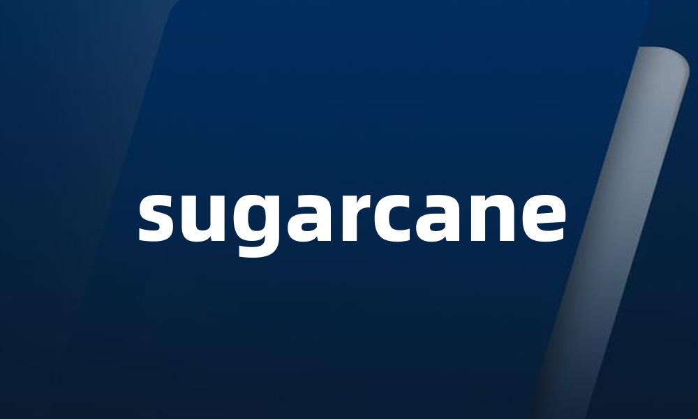 sugarcane