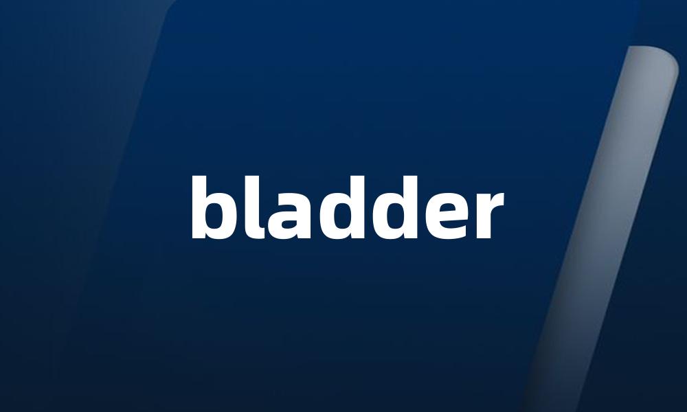bladder