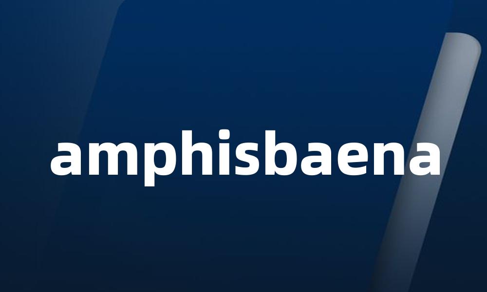 amphisbaena