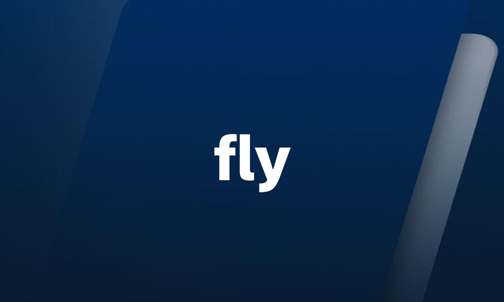 fly