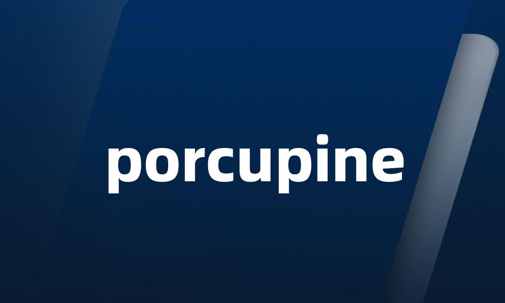 porcupine