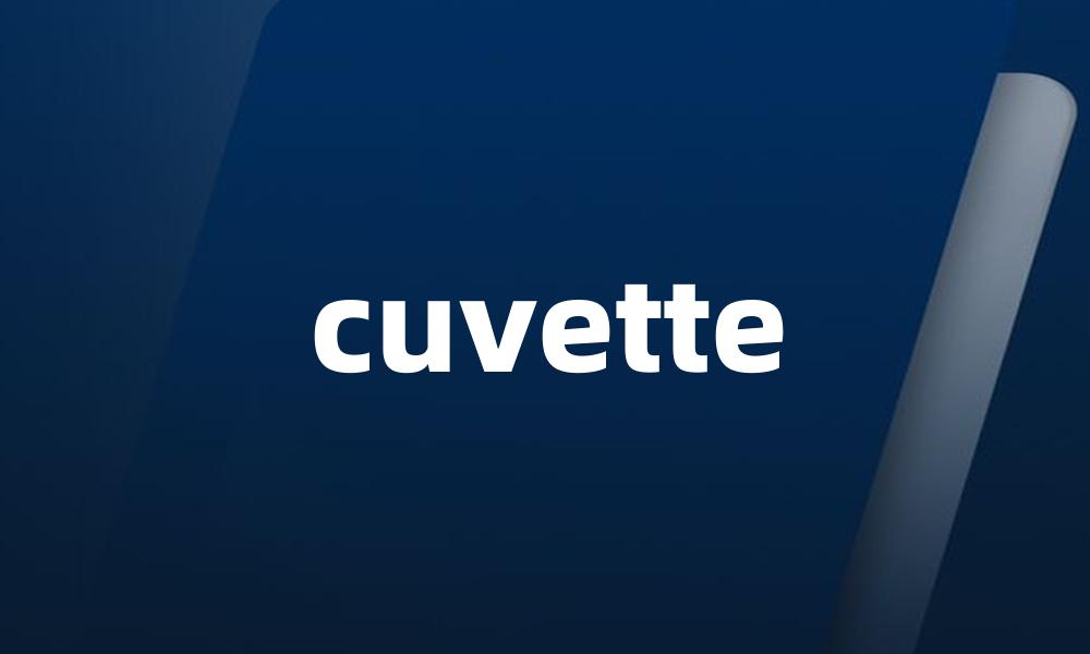 cuvette