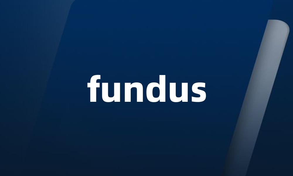 fundus