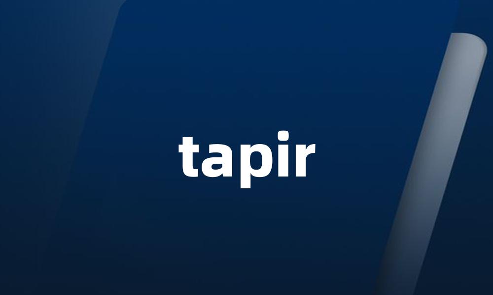 tapir