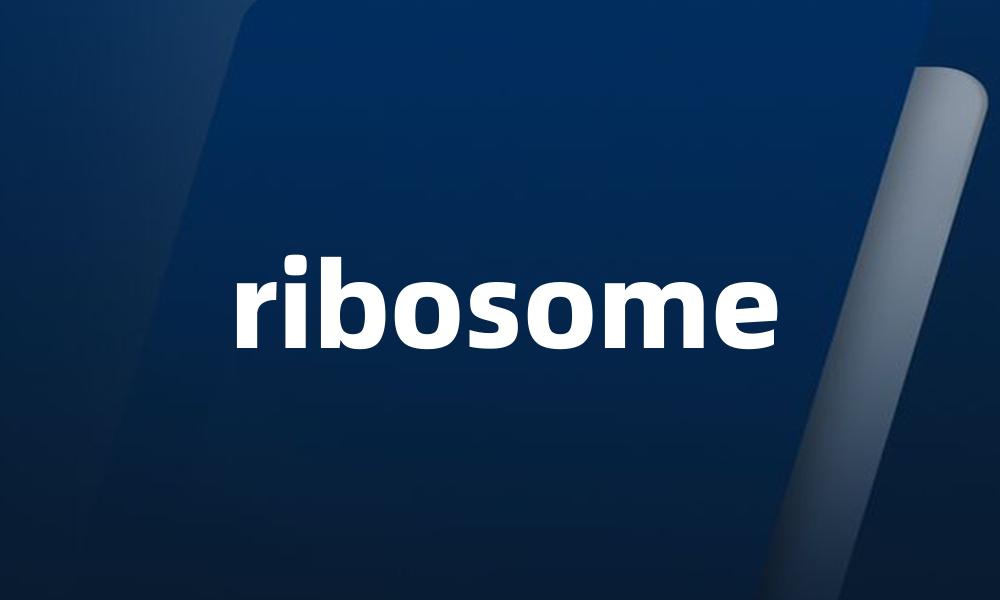 ribosome
