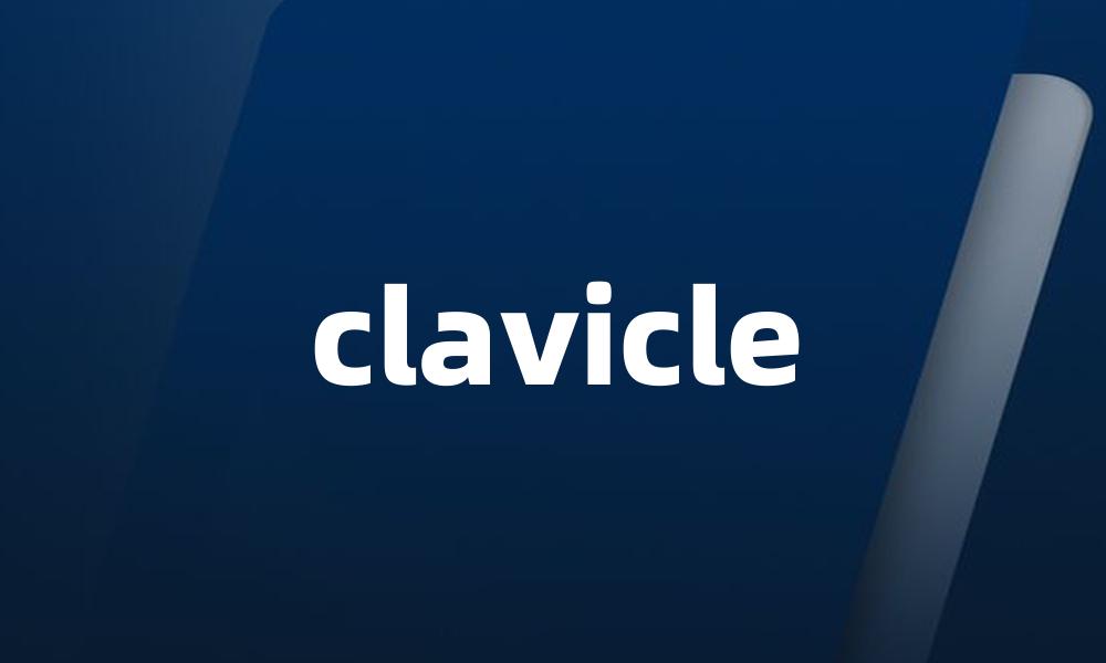 clavicle