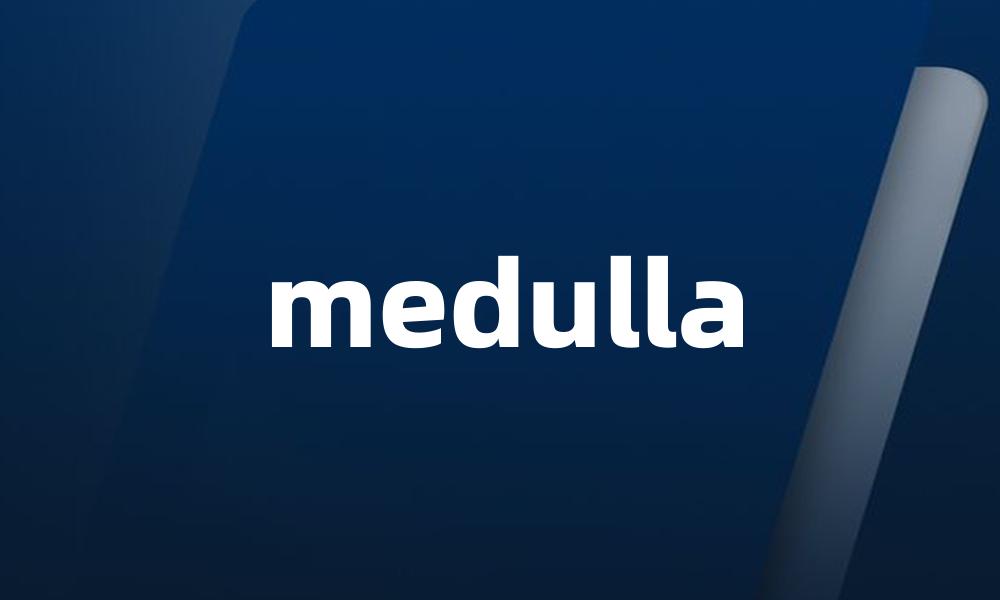 medulla
