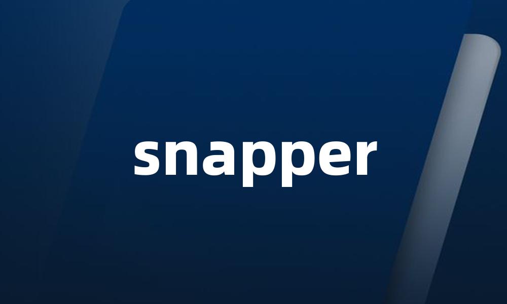 snapper