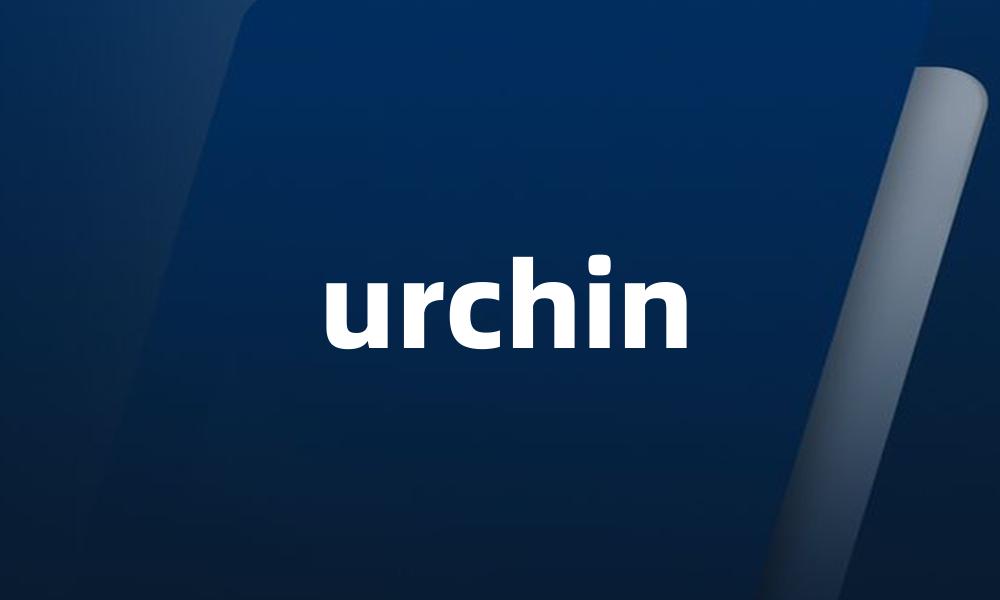 urchin