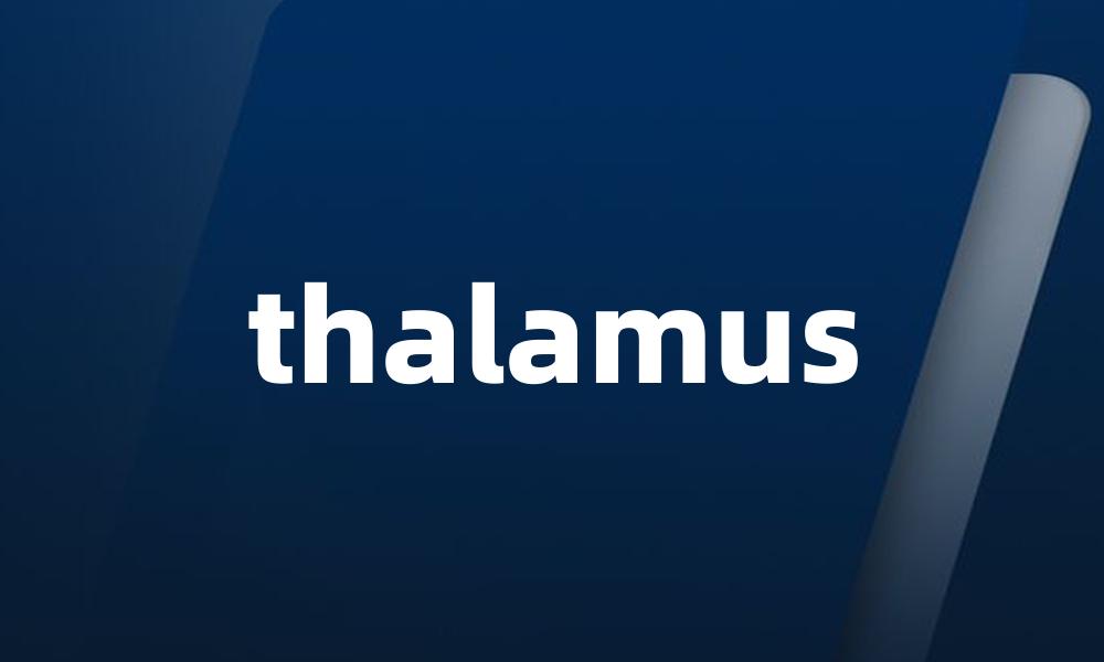 thalamus