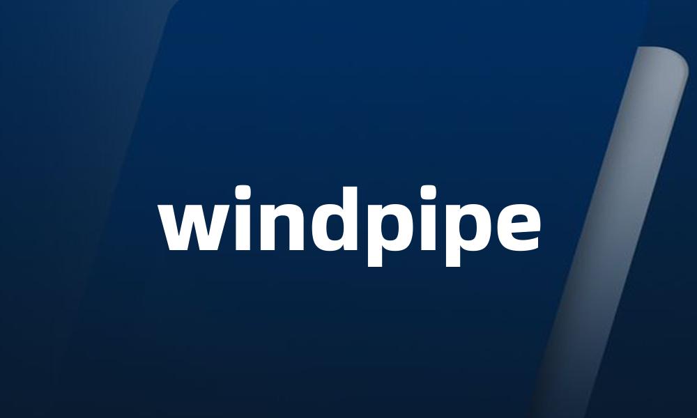 windpipe