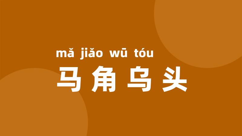 马角乌头