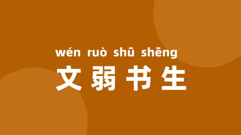 文弱书生