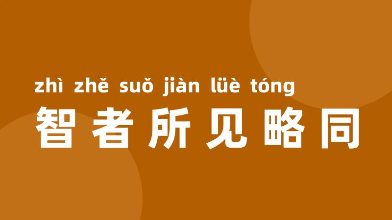 智者所见略同