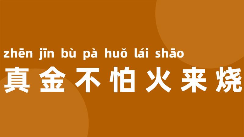 真金不怕火来烧