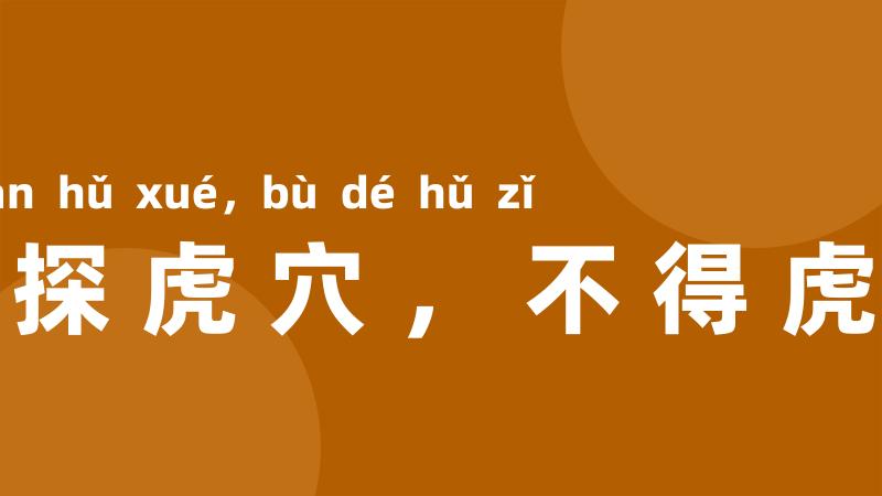 不探虎穴,不得虎子