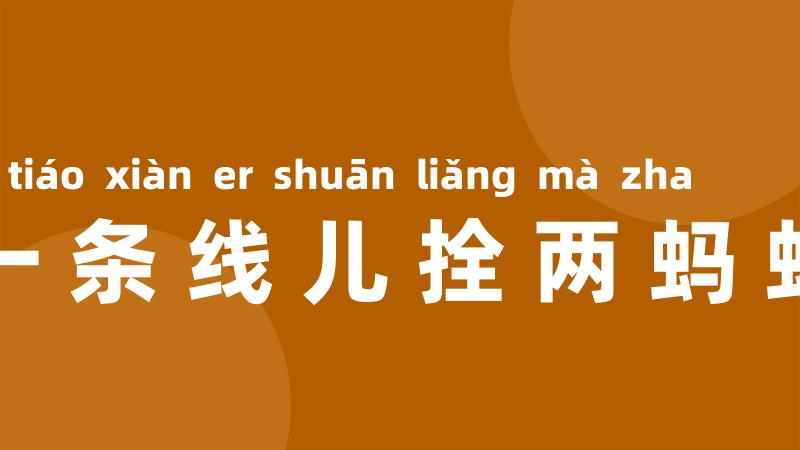一条线儿拴两蚂蚱