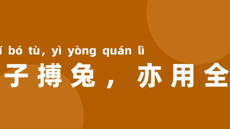 狮子搏兔,亦用全力