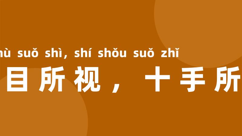 十目所视,十手所指