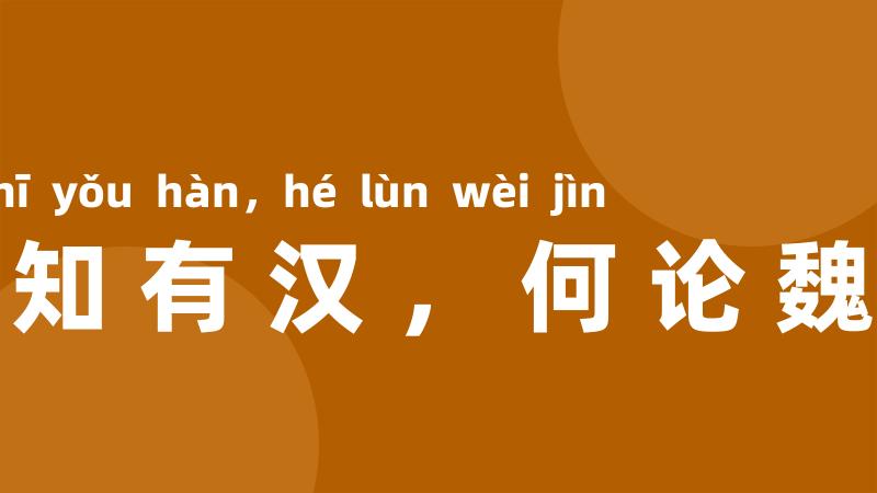 不知有汉,何论魏晋