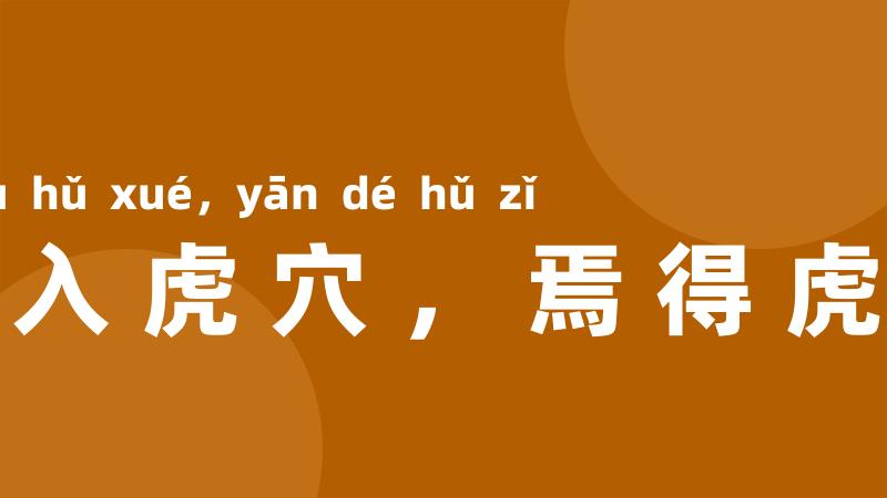 不入虎穴,焉得虎子