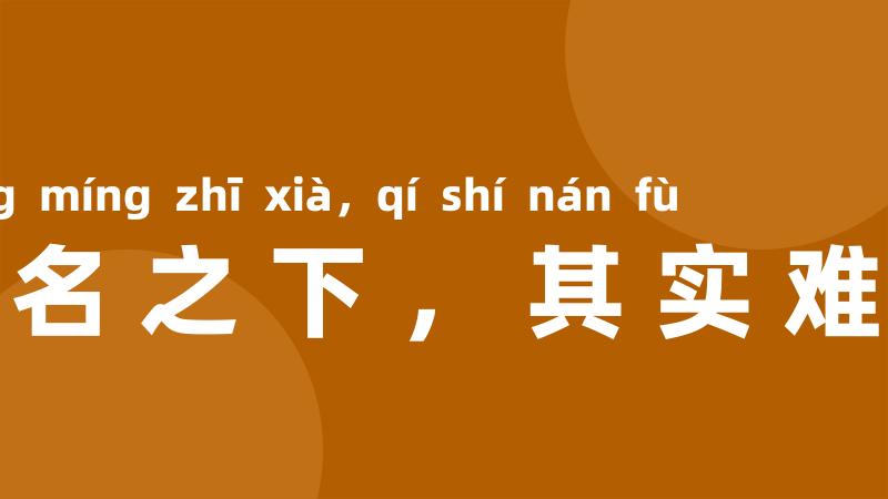 盛名之下,其实难符