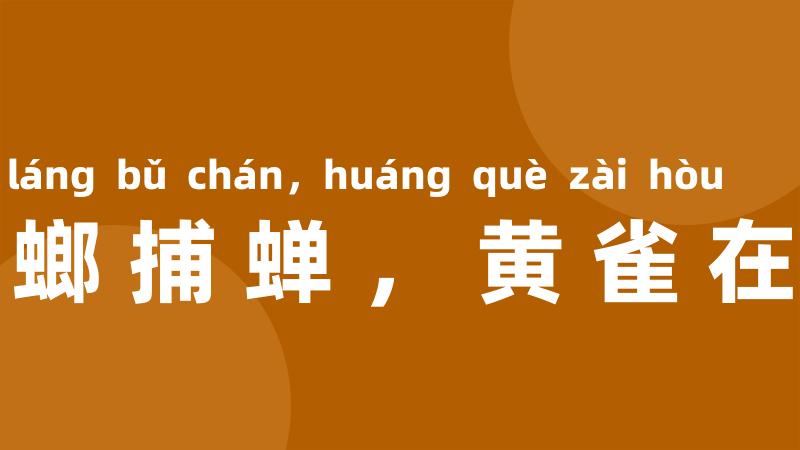 螳螂捕蝉,黄雀在后