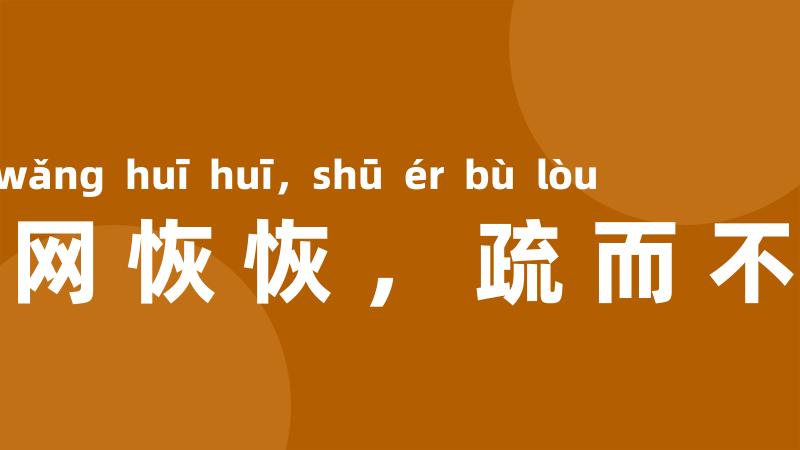 天网恢恢,疏而不漏