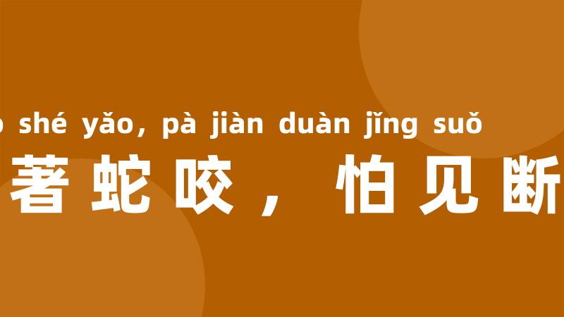 一度著蛇咬,怕见断井索