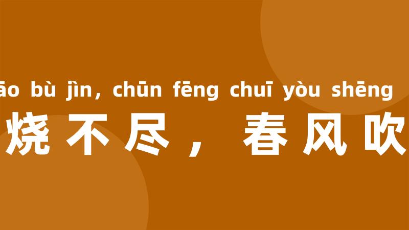 野火烧不尽,春风吹又生