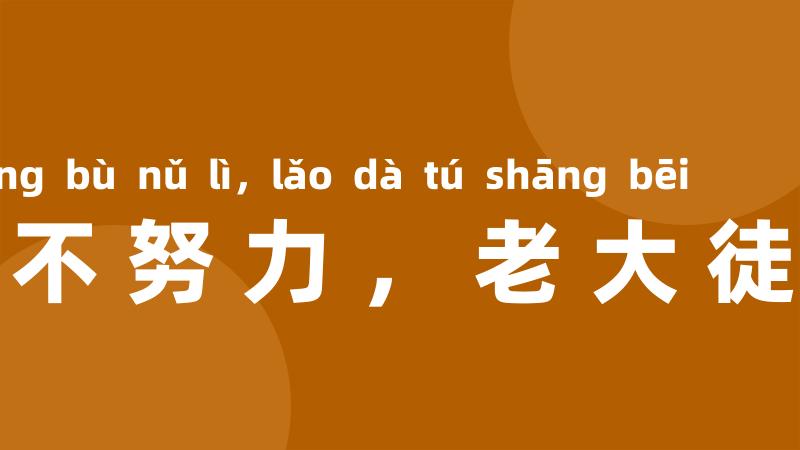 少壮不努力,老大徒伤悲