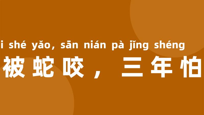 一朝被蛇咬,三年怕井绳