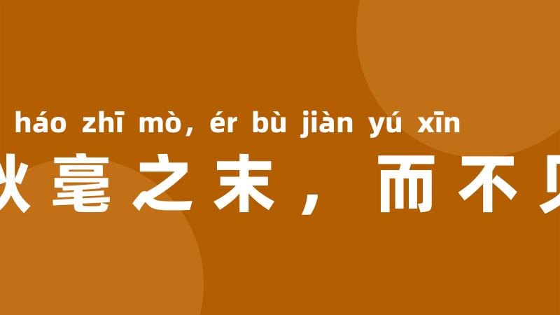 明察秋毫之末,而不见舆薪