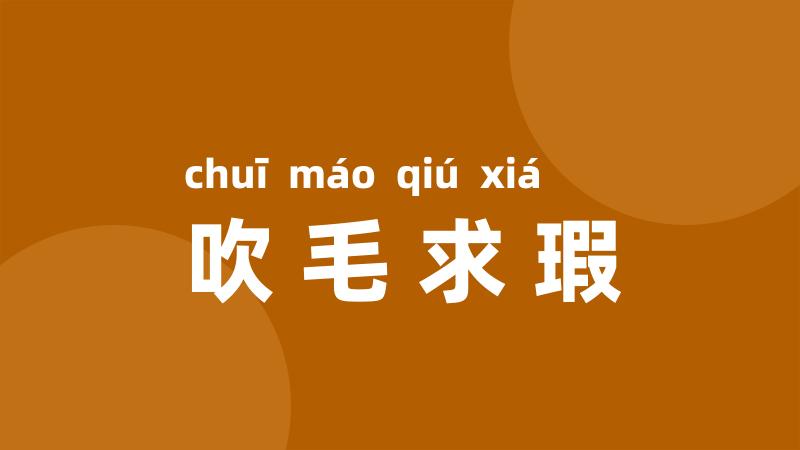 吹毛求瑕
