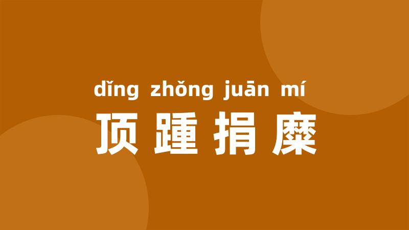 顶踵捐糜