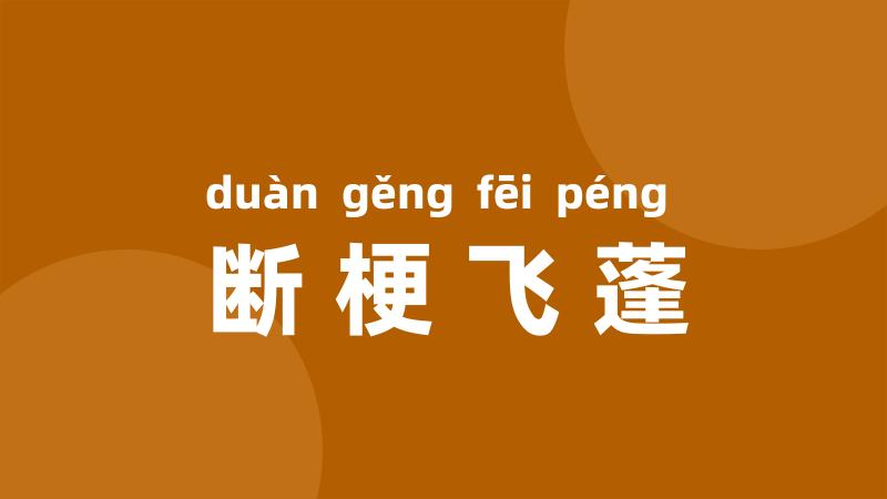 断梗飞蓬