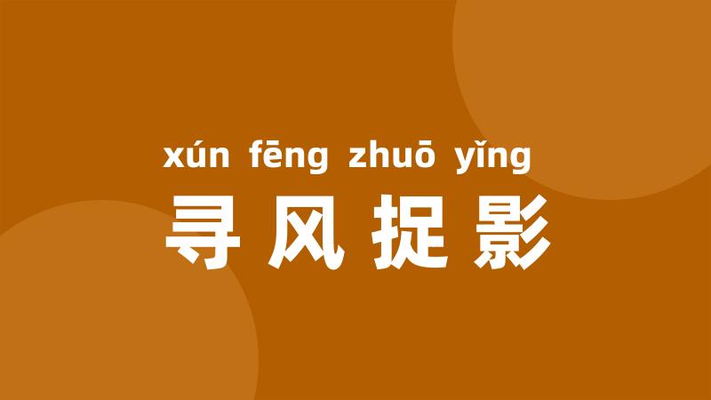 寻风捉影